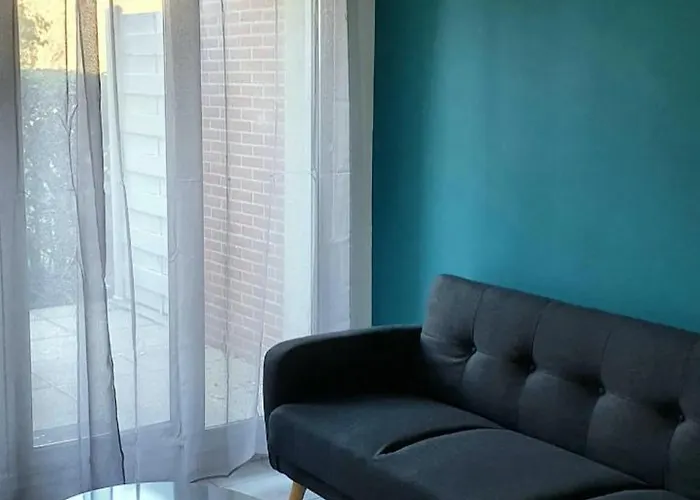 T2 Proche Airbus St Martin Du Touch, Colomiers Avec Terrasse تولوز