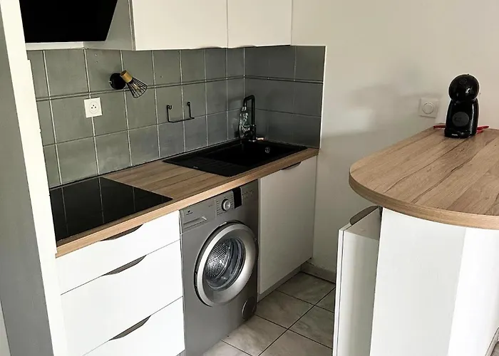 T2 Proche Airbus St Martin Du Touch, Colomiers Avec Terrasse تولوز